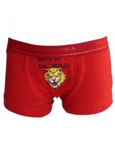 Slip on sale e boxer